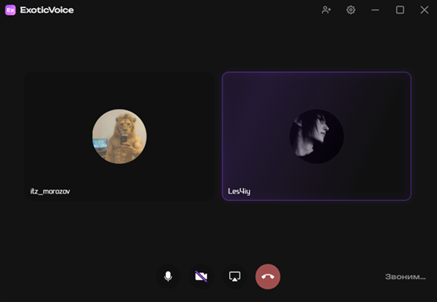 Voice call